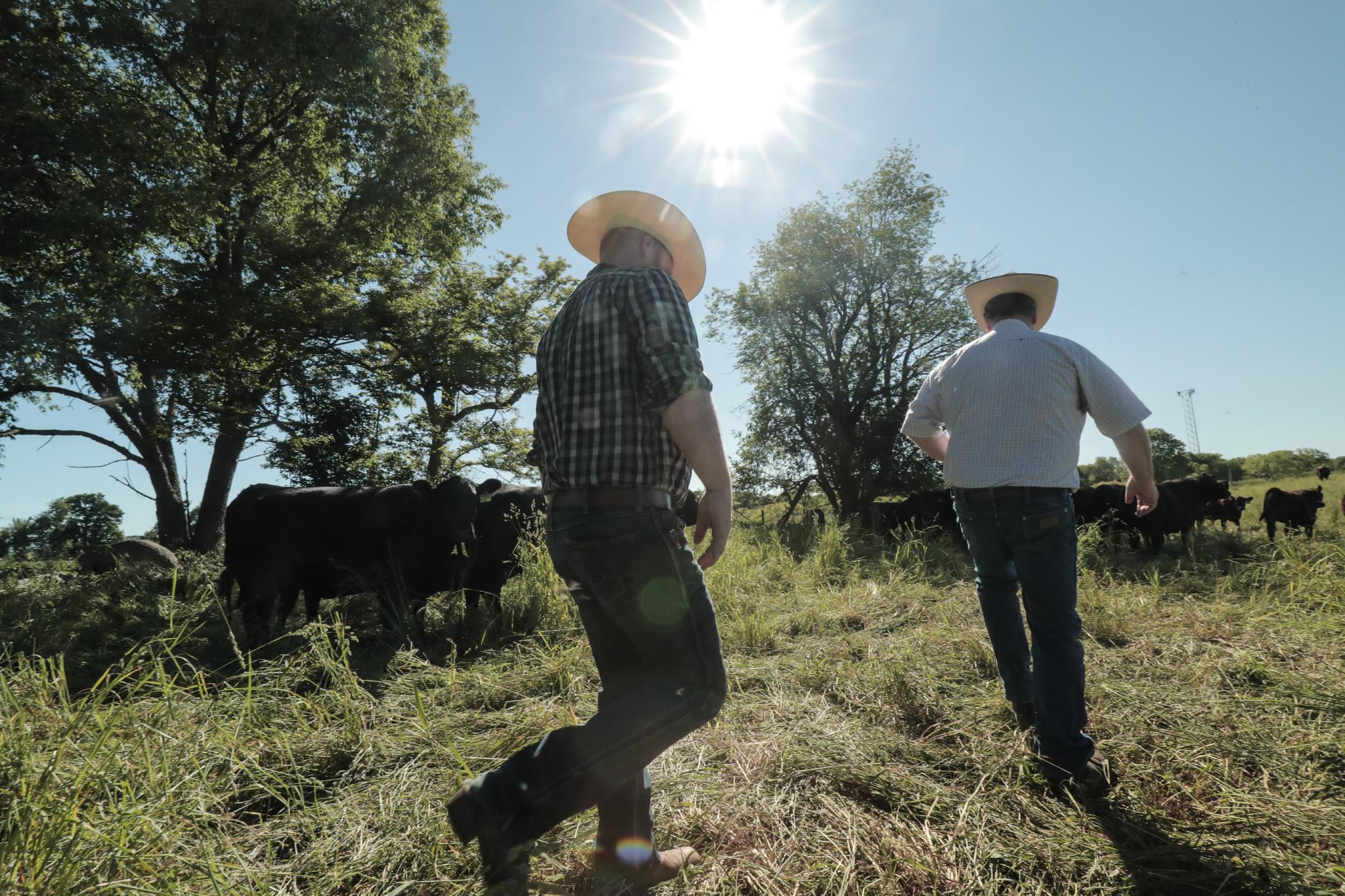 Caledon Farmers, Don & Gord McArthur at Heatherlea Farm Shoppe.