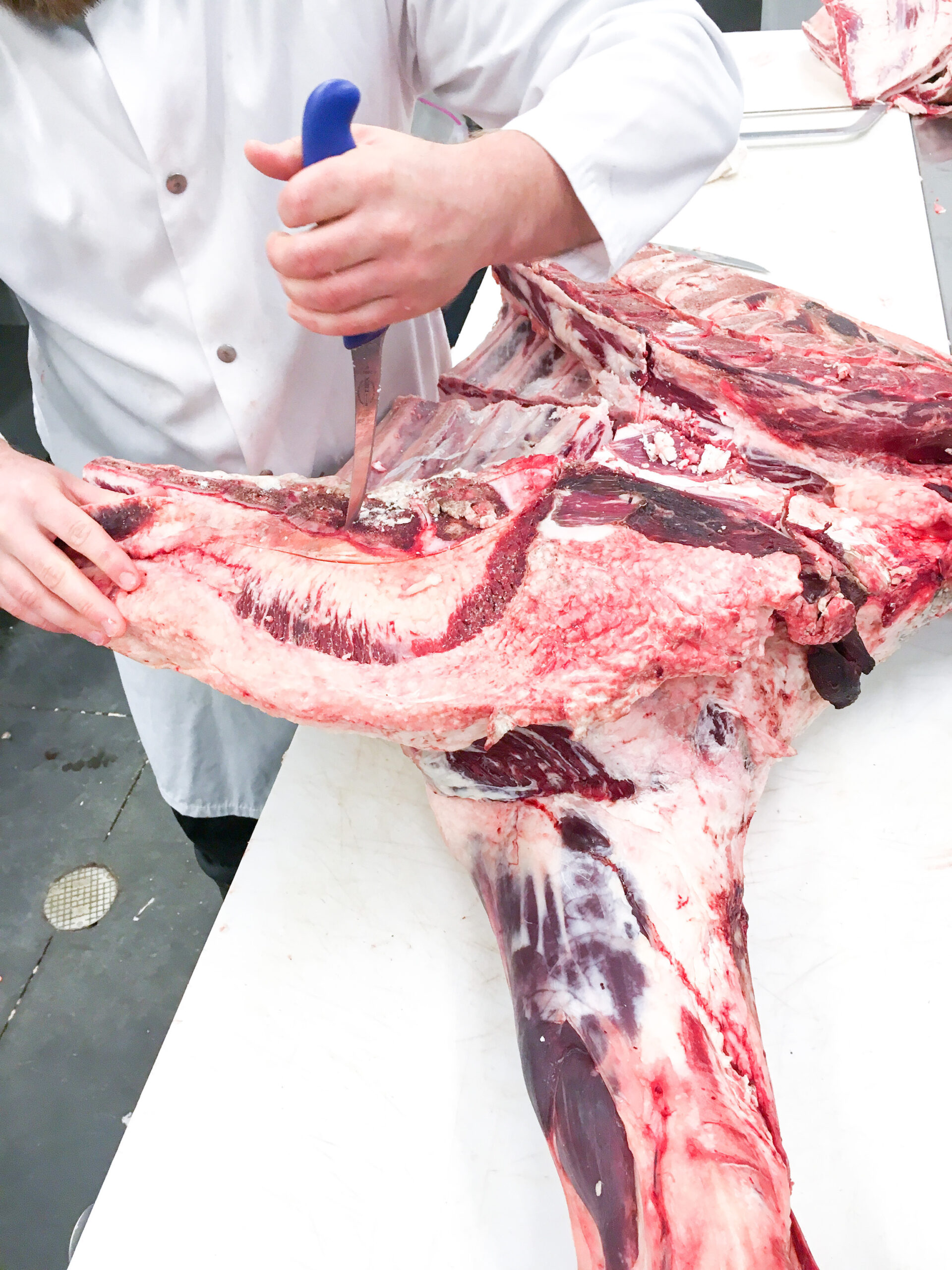 Butcher Cutting a Front Quarter