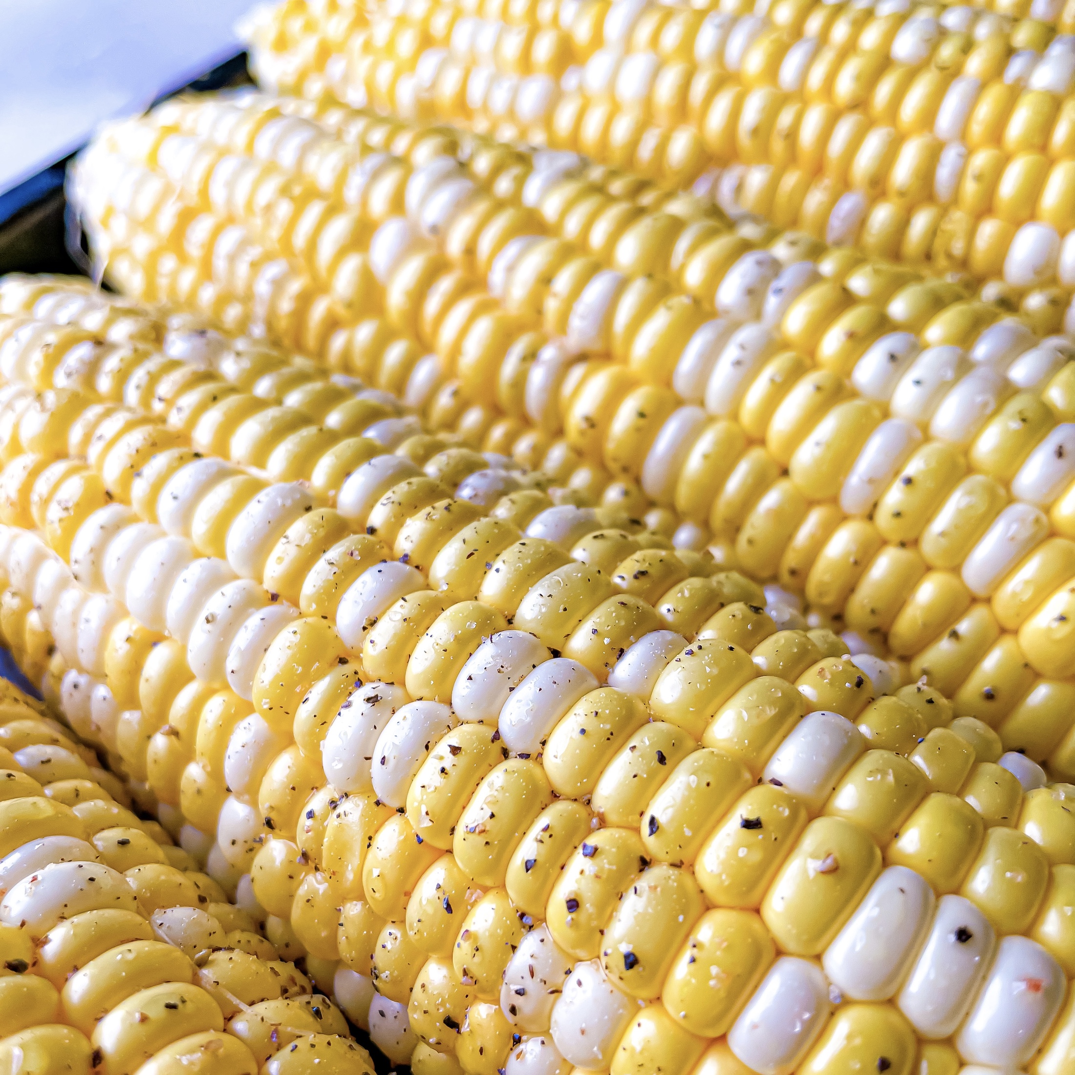 Ontario Sweet Corn