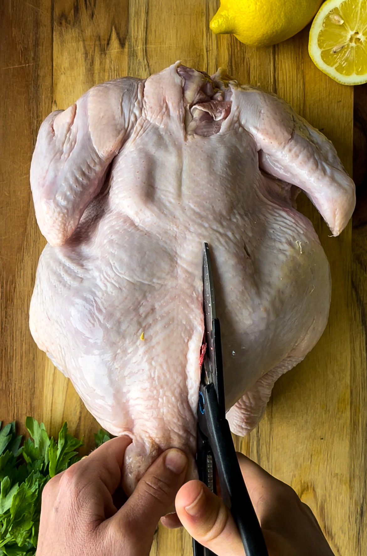Cutting the backbone for flattened chicken