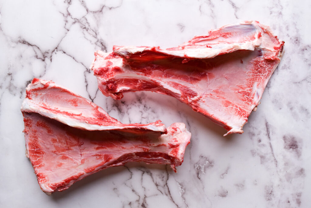 Scapula (shoulder) beef bone