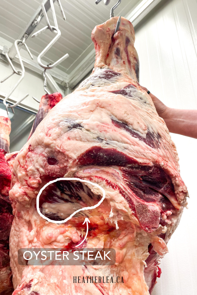 Oyster Steak is located on the hind quarter